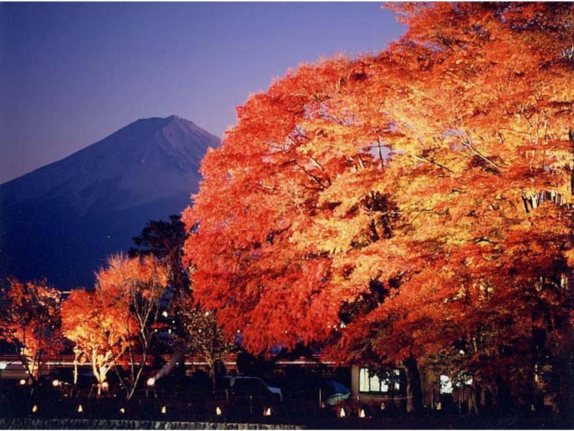 Fujisan Resort Hotel - Vacation Stay 57971V Fujikawaguchiko Exterior foto